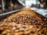 Семечки полосатые оптом в наличии, импортные Китай, фотография 4