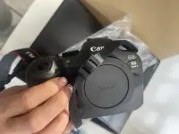 Беззеркальная камера Canon EOS R6 Mark II