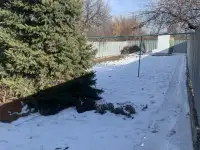 Продам 5-комнатный дом в Каскелене, Байтурсынова / Гоголя, фотография 2