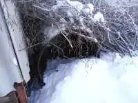 Всё для дома, фотография 2