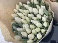 Тюльпаны премиум класса оптом к 8 марта, фотография 9