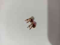 Продам сережки детские, фотография 4