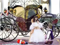 Сани кареты, фотография 12