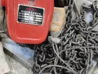 Таль электрическая цепная, фотография 4