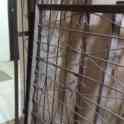 Продам решетки металические, фотография 2