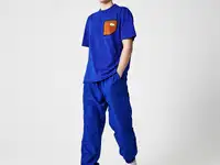 Спортивные мужские брюки lacoste