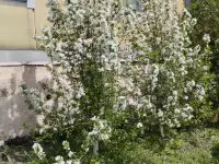 Продам дом, Шартандинская 1, фотография 2