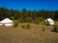 Юрты в аренду, фотография 5