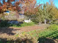 Дача в ст Борки, 6,7соток, фотография 4