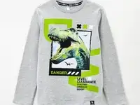 Лонгслив playtoday