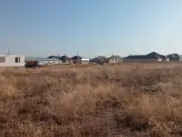 Продажа ровных участков в Узынагаш., фотография 2