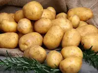 Сульфат Калия в наличии и под заказ, фотография 2