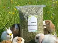 Продам сено для грызунов Луговое разнотравье