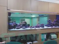 Изготовление аквариумов на заказ, фотография 9