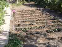 продать дачу, фотография 7