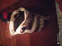 Найден пакет с вещами