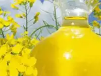 Рапсовое рафинированное дезодорированное масло от производителя, фотография 5