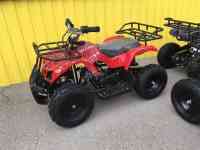 Квадроциклы 50,110,125,250сс, фотография 4