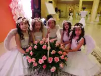 Профессиональный ведущий, тамада, фотография 10