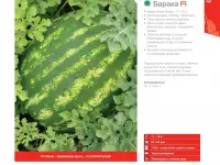 Продаем семена арбуза, фотография 10