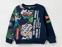 Свитшот playtoday