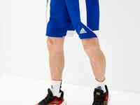 Шорты спортивные adidas