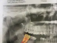 stomotolog24kz, фотография 2