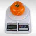 Семена оранжевого низкорослого томата АЙСАН F1, KITANO SEEDS, фотография 2