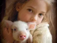 Поросята живые, здоровые и тушками., фотография 3