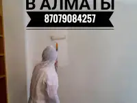 Покраска стен, фотография 11