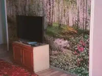 Продается дом, 74,1 кв.метра, тупик Некрасова 7, фотография 4