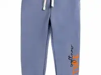 Брюки спортивные bossa nova, фотография 2