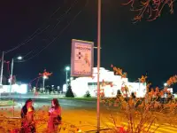 Резмещение рекламных щитов на придорожных столбах и опорах, фотография 7