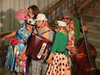 Аккордеонист/Баянист/Музыкант/Ведущий/Артисты/Цыгане, фотография 12