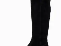 Сапоги basconi