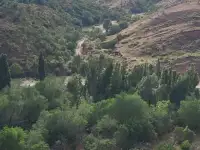 Продаем участок в Каскеленском ущелье, фотография 2