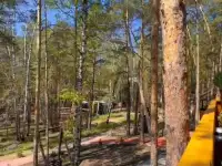 Как  Восстановить  свою энергию , обрести вдохновение, стать ближе к себе, фотография 4