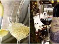 Ищем дистрибьютора в г. Шымкент, фотография 2