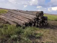 Пиломатериалы, доски, жерди, подтоварник, рудничная стойка оптом, фотография 3