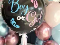 Гендер Пати, фотография 3