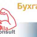 Все виды бухгалтерских услуг от компании ТОО «SILAConsult-Kazakhstan», фотография 2