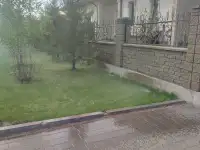 полив газона в астане, фотография 10