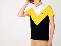 Мужское поло lacoste regular fit geometric