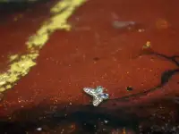 Дизайнерский журнальный стол, фотография 7