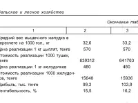 Кремнеуглерод, фотография 5