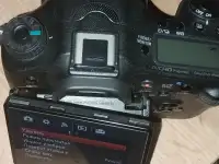 Sony A77II  объектив 18135mm SAM, фотография 4