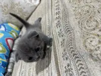 pavlenko100495icloud.com, фотография 2