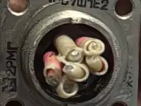 Nurik, фотография 9