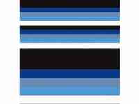 Бандана 4fun standard club line blue