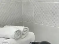 Уютная и чистая 2х комнатная квартира в центре города, фотография 11